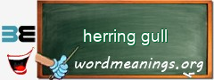 WordMeaning blackboard for herring gull